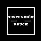 La imagen 1 de la Empresa SUSPENSION RAUCH Volantes en Ramos Mejía AR-B