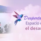 La imagen 1 de la Empresa TERAPÍAS ALTERNATIVAS SANACION DIVINA Tarot Evolutivo en Capital Federal AR-B