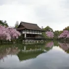 La imagen 1 de la Empresa TERAPIAS NATURALES DE NESTOR DIAZ Tecnicas de Meditacion en Capital Federal AR-B