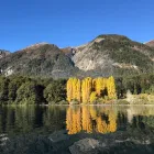 La imagen 1 de la Empresa TIERRAS DEL SUR Hotel en Villa La Angostura AR-Q