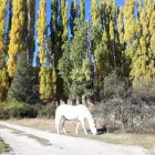 La imagen 2 de la Empresa TIERRAS DEL SUR Hotel en Villa La Angostura AR-Q