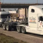 La imagen 3 de la Empresa TRANSERVI - ALQUILER DE GRUAS Ventas de Gruas en San Pedro de Jujuy AR-Y