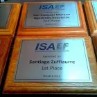 La imagen 1 de la Empresa TU TROFEO Trofeos Futbol en Buenos Aires AR-C