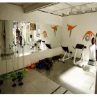 La imagen 3 de la Empresa UNIÓN CORDOBESA PARA CIEGOS Organismos en Córdoba Argentina