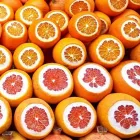 La imagen 1 de la Empresa VERTISOLES SRL AGROQUIMICOS Ventas de Agroquímicos en Concordia AR-E