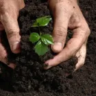 La imagen 3 de la Empresa VERTISOLES SRL AGROQUIMICOS Ventas de Agroquímicos en Concordia AR-E