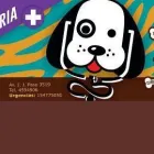 La imagen 1 de la Empresa VETERINARIA CIBELES Vigilancia con Apoyo de Animales en Santa Fe Argentina