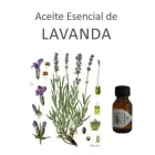 La imagen 5 de la Empresa VINDOBONA VISO BELLO Zanahoria en Temperley AR-B