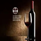 La imagen 2 de la Empresa VINORIO-TIENDA DE VINOS Vinoteca en Capital Federal AR-B