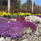 La imagen 1 de la Empresa VIVERO LA ARAUCARIA - CULTIVO Viveros en An Carlos De Bariloche AR-R	