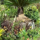 La imagen 4 de la Empresa VIVERO LA RUDA MACHO Vivero en Wilde AR-B