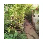 La imagen 7 de la Empresa VIVERO LA RUDA MACHO Vivero en Wilde AR-B