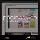 La imagen 3 de la Empresa VÍVIDO DISEÑO Y COMUNICACIÓN Marketing Online en Lomas de Zamora AR-B