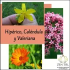 La imagen 3 de la Empresa ZEN TIR EL PODER CURATIVO DE LAS PLANTAS Tienda de alimentos naturales en Plaza Huincul AR-Q