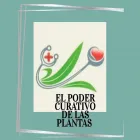 La imagen 4 de la Empresa ZEN TIR EL PODER CURATIVO DE LAS PLANTAS Tienda de alimentos naturales en Plaza Huincul AR-Q