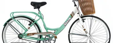 La imagen 9 de la Empresa A1 BICICLETERÍA BICI URBANA Vittoria en Capital Federal AR-B