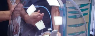 La imagen 3 de la Empresa ACRILICOS SARAO - ESPECIALISTAS EN MOLDEO Urnas para Sorteos en Capital Federal AR-B