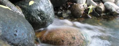 La imagen 6 de la Empresa AGUA MINERAL ALUN-CO Alimentos Y Bebidas en San Carlos de Bariloche AR-R	