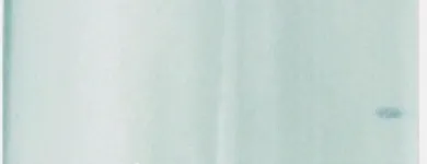 La imagen 2 de la Empresa AGUA MINERAL ALUN-CO Alimentos Y Bebidas en San Carlos de Bariloche AR-R	