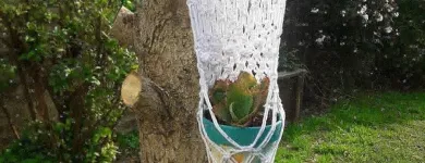 La imagen 1 de la Empresa AMANECERES TALLER DE ARTE Tienda de pinturas en Villa Adelina AR-B