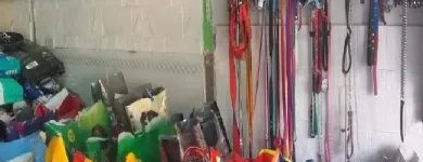 La imagen 1 de la Empresa ANIMAL KINDOM PET SHOP Traslado de Perros en San Justo AR-B