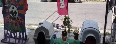 La imagen 3 de la Empresa ANIMAL KINDOM PET SHOP Traslado de Perros en San Justo AR-B