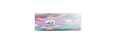 La imagen 4 de la Empresa ANIMAL KINDOM PET SHOP Traslado de Perros en San Justo AR-B