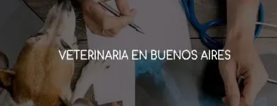 La imagen 1 de la Empresa ASISTENCIA VETERINARIA A DOMICILIO Veterinarios a Domicilio en Sáenz Peña AR-B