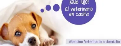 La imagen 3 de la Empresa ASISTENCIA VETERINARIA A DOMICILIO Veterinarios a Domicilio en Sáenz Peña AR-B
