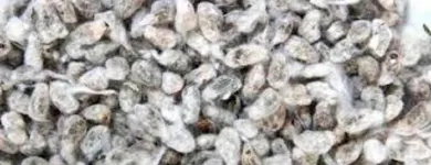 La imagen 3 de la Empresa BUGATTI  SAICA Tienda de artículos de cocina en Reconquista AR-S