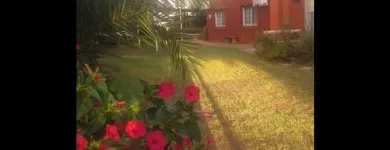 La imagen 3 de la Empresa BUNGALOW LOS NARANJOS Agencia de alquiler de casas móviles en Colón AR-E
