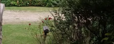 La imagen 3 de la Empresa CABAÑAS BALCÓN SOLEADO Cabaña en Santa Rosa de Calamuchita AR-X