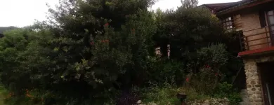 La imagen 7 de la Empresa CABAÑAS BALCÓN SOLEADO Cabaña en Santa Rosa de Calamuchita AR-X