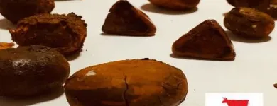 La imagen 1 de la Empresa CALCULOS BILIARES  BOVINOS Ventas de Ganado en Pie en Diamante AR-E