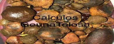 La imagen 2 de la Empresa CALCULOS BILIARES  BOVINOS Ventas de Ganado en Pie en Diamante AR-E