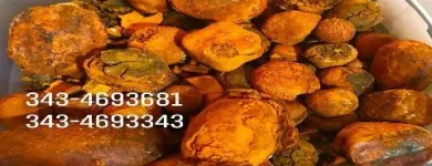 La imagen 3 de la Empresa CALCULOS BILIARES  BOVINOS Ventas de Ganado en Pie en Diamante AR-E