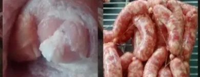 La imagen 1 de la Empresa CARNICERÍA EXE RIO Ventas de Carnes en Rosario AR-S