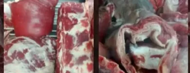 La imagen 3 de la Empresa CARNICERÍA EXE RIO Ventas de Carnes en Rosario AR-S