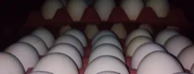 La imagen 1 de la Empresa DISTRIBUIDORA LEALCITO'S Supermercado en Santiago del Estero AR-G