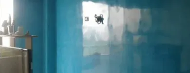 La imagen 1 de la Empresa EL IMPERIO DEL VENECIANO Estudio de decorados en Capital Federal AR-B