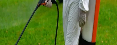 La imagen 2 de la Empresa EL TRÉBOL - DISEÑO - ASESORAMIENTO Y MANTENIMIENTO DE ESPACIOS VERDES Mantenimiento de Espacios Verdes en Neuquén AR-Q