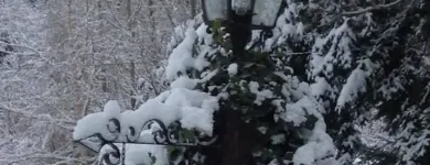 La imagen 1 de la Empresa EQUS CASA DE TE GALES Tienda de chucherías en San Carlos de Bariloche AR-R	