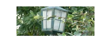 La imagen 4 de la Empresa ESCUELA SAN IGNACIO DE LOYOLA Nivel Inicial en Guillermo Enrique Hudson AR-B