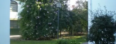 La imagen 7 de la Empresa ESCUELA SAN IGNACIO DE LOYOLA Nivel Inicial en Guillermo Enrique Hudson AR-B