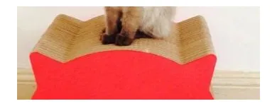 La imagen 3 de la Empresa FÁBRICA DE RONRONEOS Veterinaria en Capital Federal AR-B