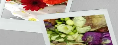 La imagen 2 de la Empresa FLORES LUNA Florista en Mendoza AR-M	