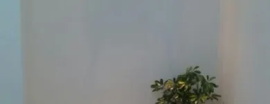 La imagen 3 de la Empresa GERARDO BIANCHI PROPIEDADES Inmobiliarias en Pehuajó AR-B