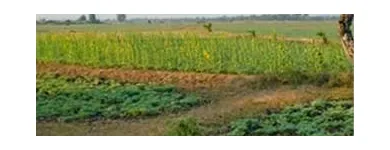 La imagen 1 de la Empresa GM NEGOCIOS INMOBILIARIOS Agencia inmobiliaria en Villa María AR-X