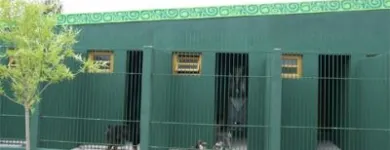 La imagen 2 de la Empresa GUARDERIA CANINA Y FELINA MODELO Guardería para Perros en Mar del Plata AR-B