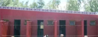 La imagen 3 de la Empresa GUARDERIA CANINA Y FELINA MODELO Guardería para Perros en Mar del Plata AR-B